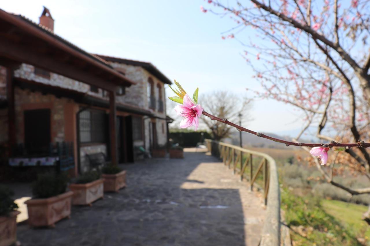 B&B Casale Roshlee Gualdo Cattaneo Екстериор снимка